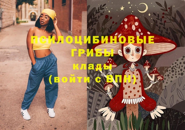 прущая мука Чердынь