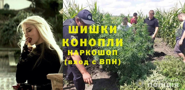 меф Пересвет